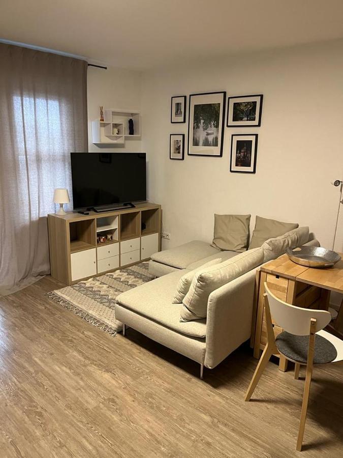 1 Zimmer Wohnung Mit Der Terrasse In Der Innenstadt 威斯巴登 外观 照片